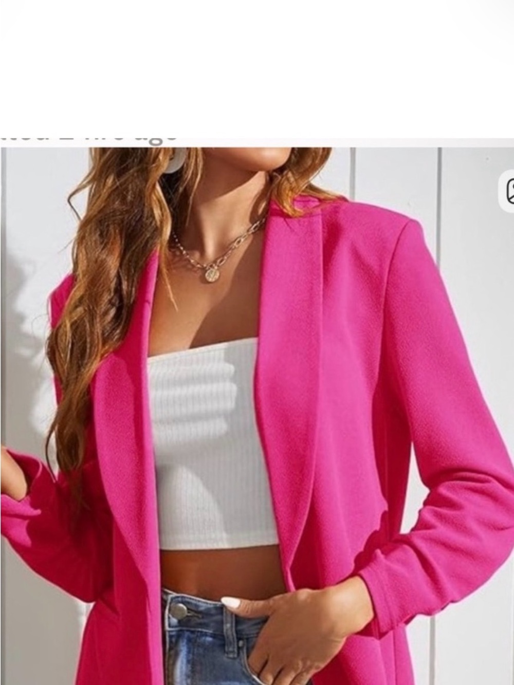 Dakota blue pink blazer large